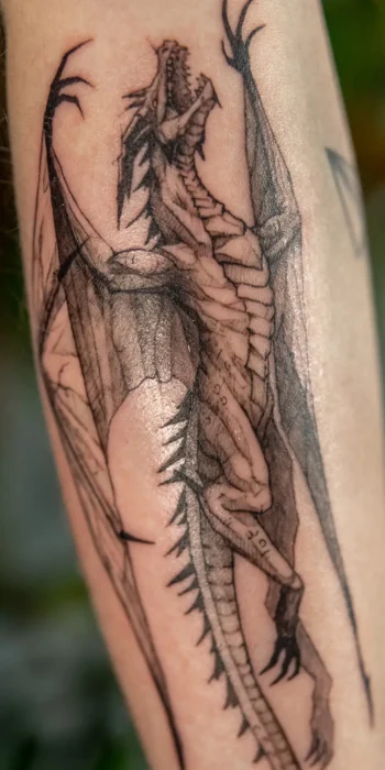 dragon banner